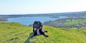 Carsington Holiday Cottage