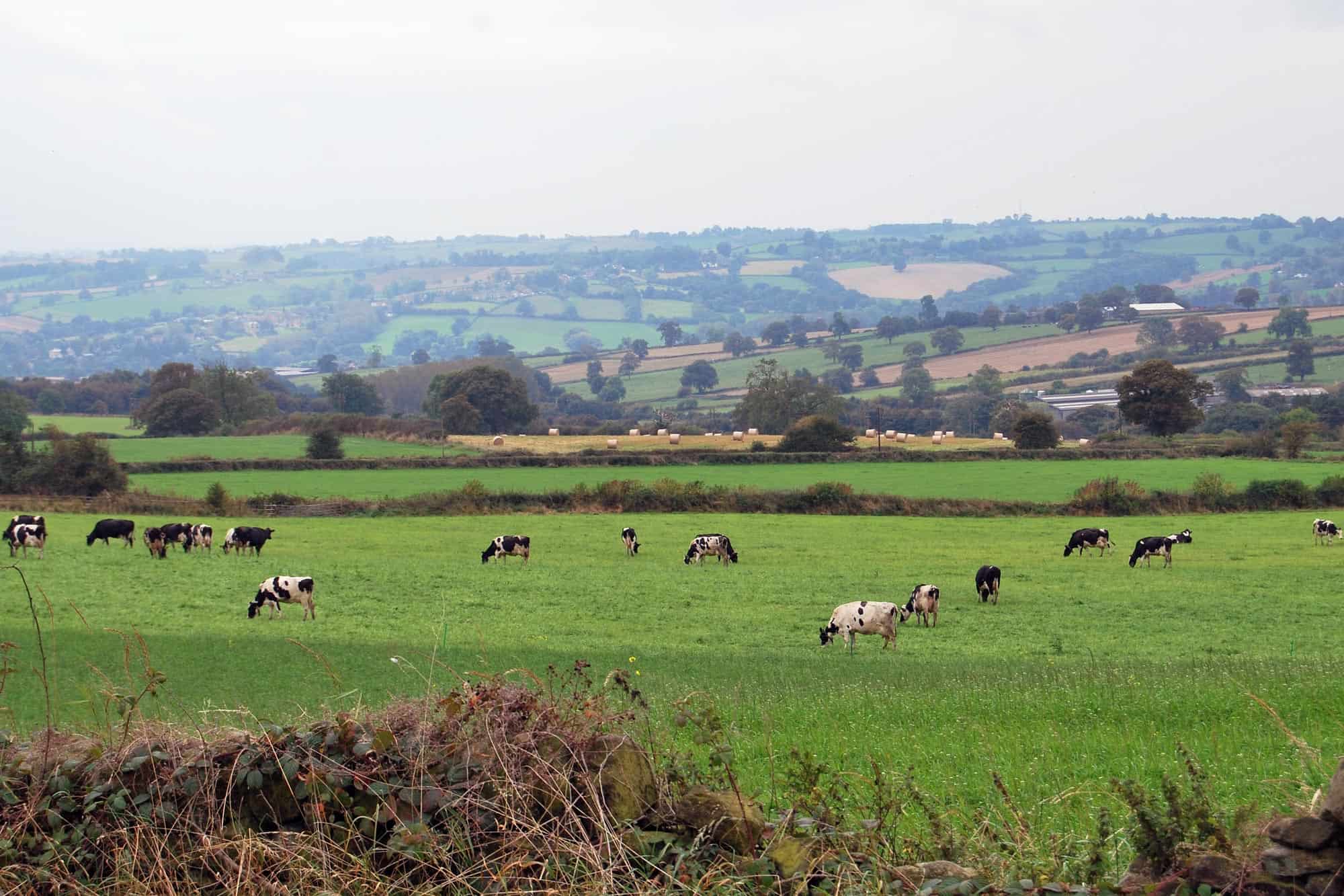 Derbyshire Dales